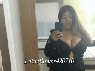 Lotusflower420710