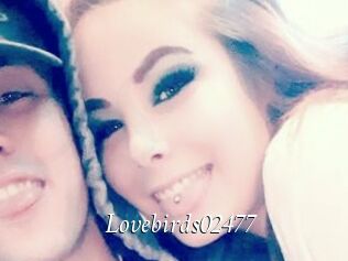 Lovebirds02477