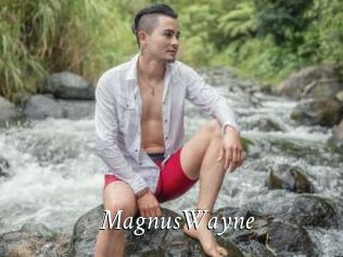 MagnusWayne