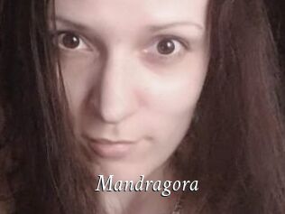 Mandragora