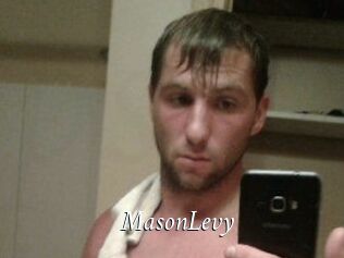 Mason_Levy