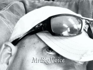 MrBigVoice
