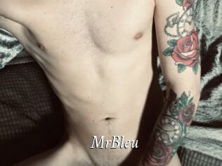 MrBleu