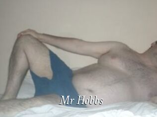 Mr_Hobbs