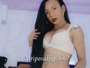 MriposaBigcock7