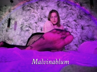 Malvinablum