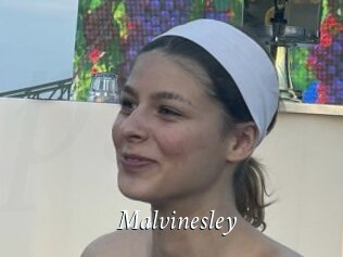 Malvinesley