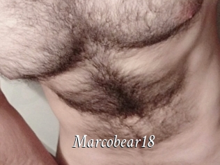 Marcobear18