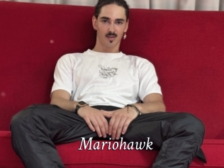 Mariohawk