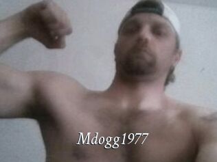Mdogg1977