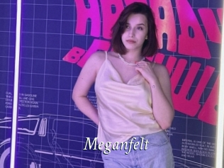 Meganfelt