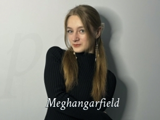 Meghangarfield