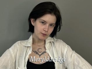 Meryldavidge