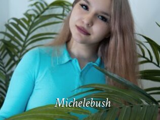 Michelebush