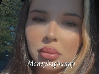 Moneybagbunny