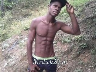 Mrdick20cm
