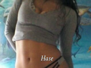 Hase