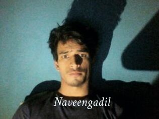 Naveengadil