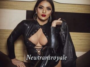 Newtransroyale
