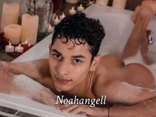 Noahangell