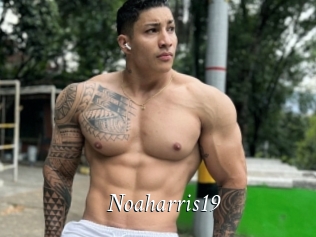Noaharris19