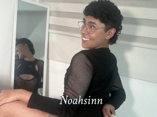 Noahsinn