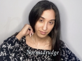 Normadrudge