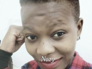 Nozy