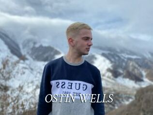 OSTIN_WELLS