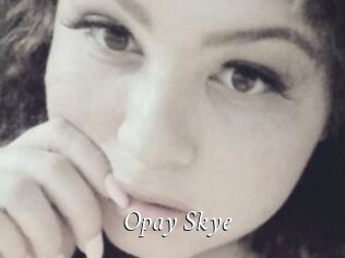 Opay_Skye