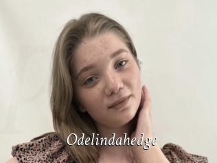 Odelindahedge