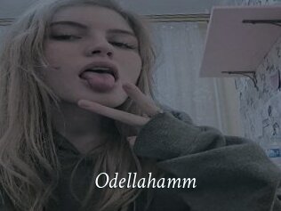 Odellahamm