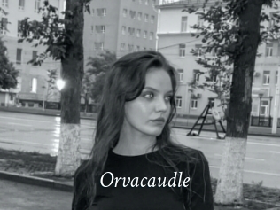 Orvacaudle