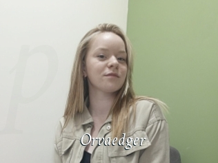 Orvaedger