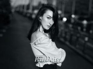 PaleDaisy