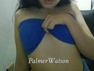PalmerWatson