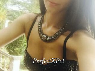 PerfectXPvt_
