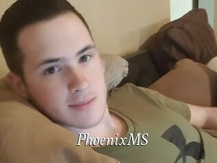 PhoenixMS