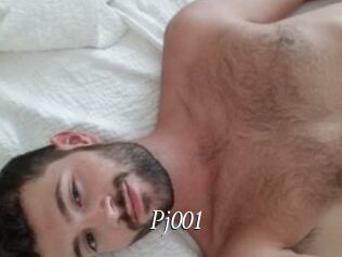 Pj001