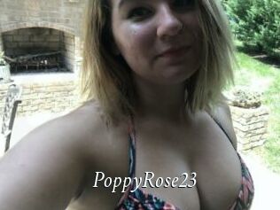 PoppyRose23
