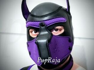 PupRaja