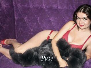 Puse