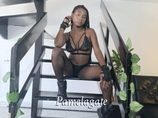 Pamelagate