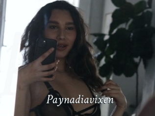 Paynadiavixen