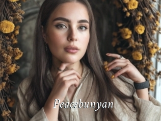Peacebunyan