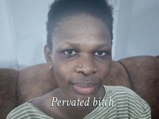 Pervated_bitch