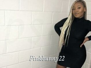 Pinkbunny22