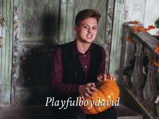 Playfulboydavid