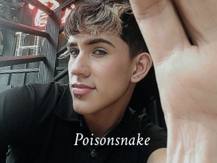 Poisonsnake