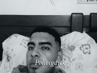 Pollbigdick
